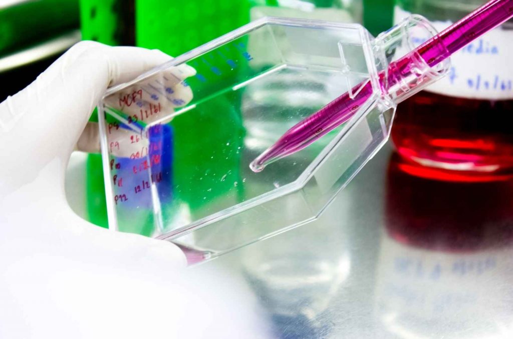 cell based assay
